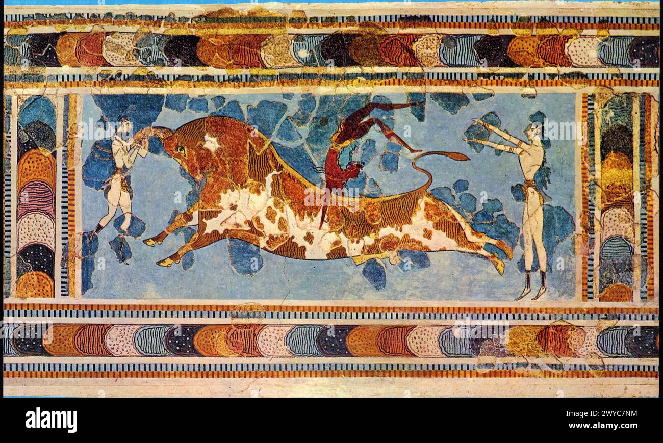 Héracléion. Musée archéologique. Fresque de CNOSSOS, le jeu de taureau. Période LM II. 1500 AV J.C Banque D'Images