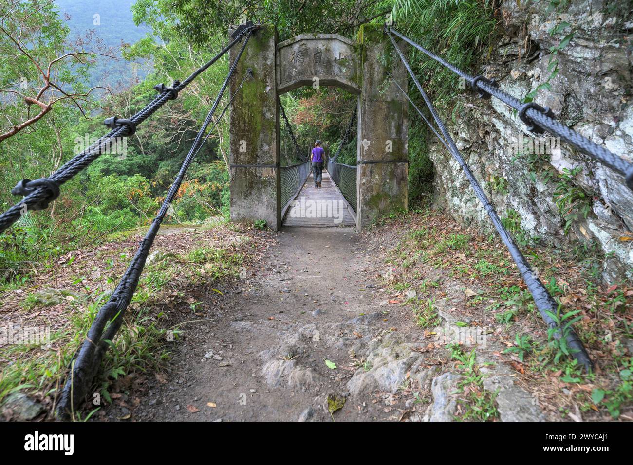 Photo capture une femme solitaire s'éloignant de la caméra sur un pont suspendu en bois entouré d'une végétation luxuriante Banque D'Images