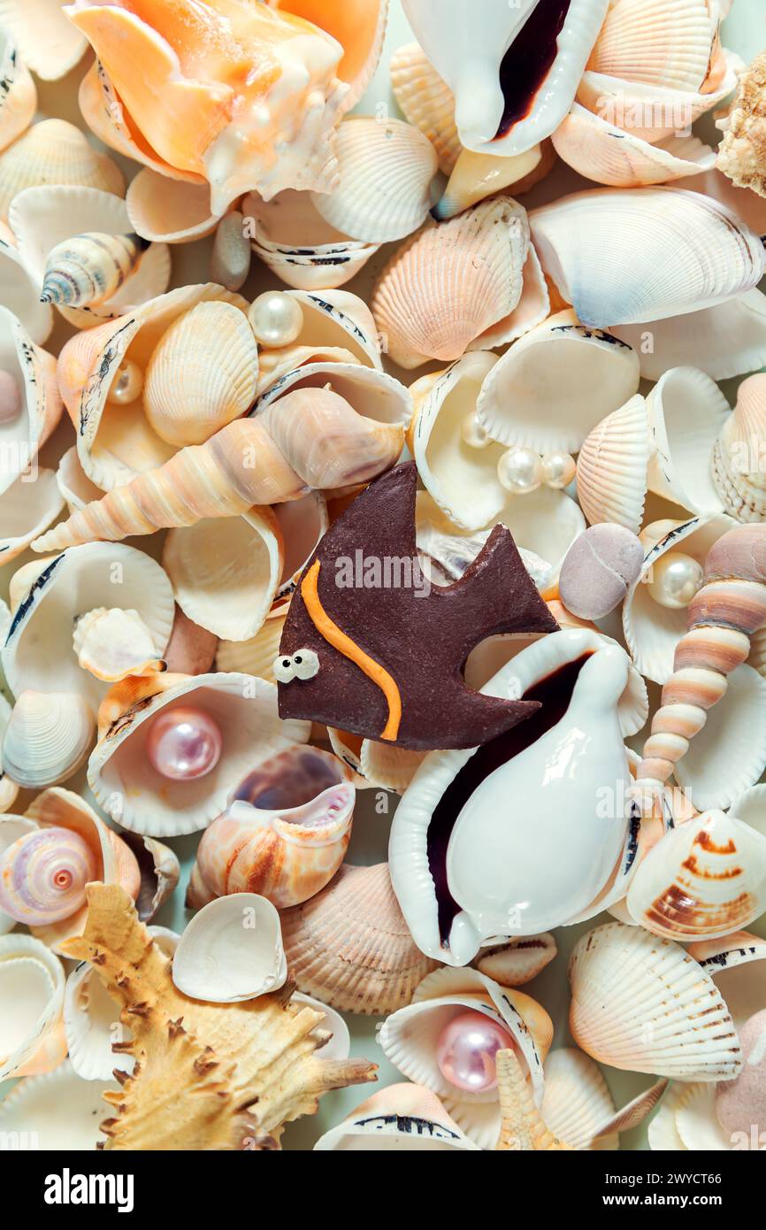 Poisson fait maison sur un fond de coquillages colorés et de perles. Fond de coquille naturelle. Banque D'Images