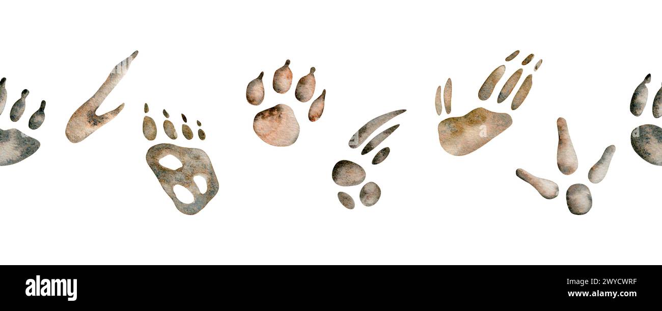 Emu et empreintes de kangourou. Pattes de dingo et d'opossum. Tirages d'espèces koala et wombat. Illustration de l'aquarelle de bordure sans couture des animaux australiens Banque D'Images