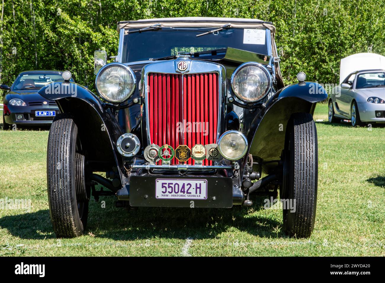 Avant de la voiture de sport Black MG type T exposée lors du Centenary National Meeting 2024 le 30 mars à Tamworth Australie. Banque D'Images
