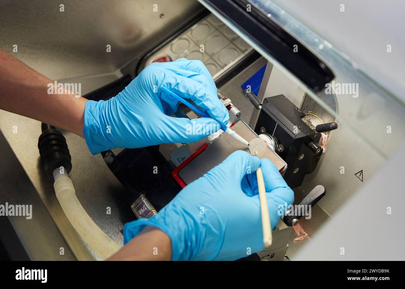 Cryostat pour applications standard dans le laboratoire d'histopathologie clinique, anatomie pathologique, Hôpital Donostia, San Sebastian, Gipuzkoa, pays basque, Espagne. Banque D'Images