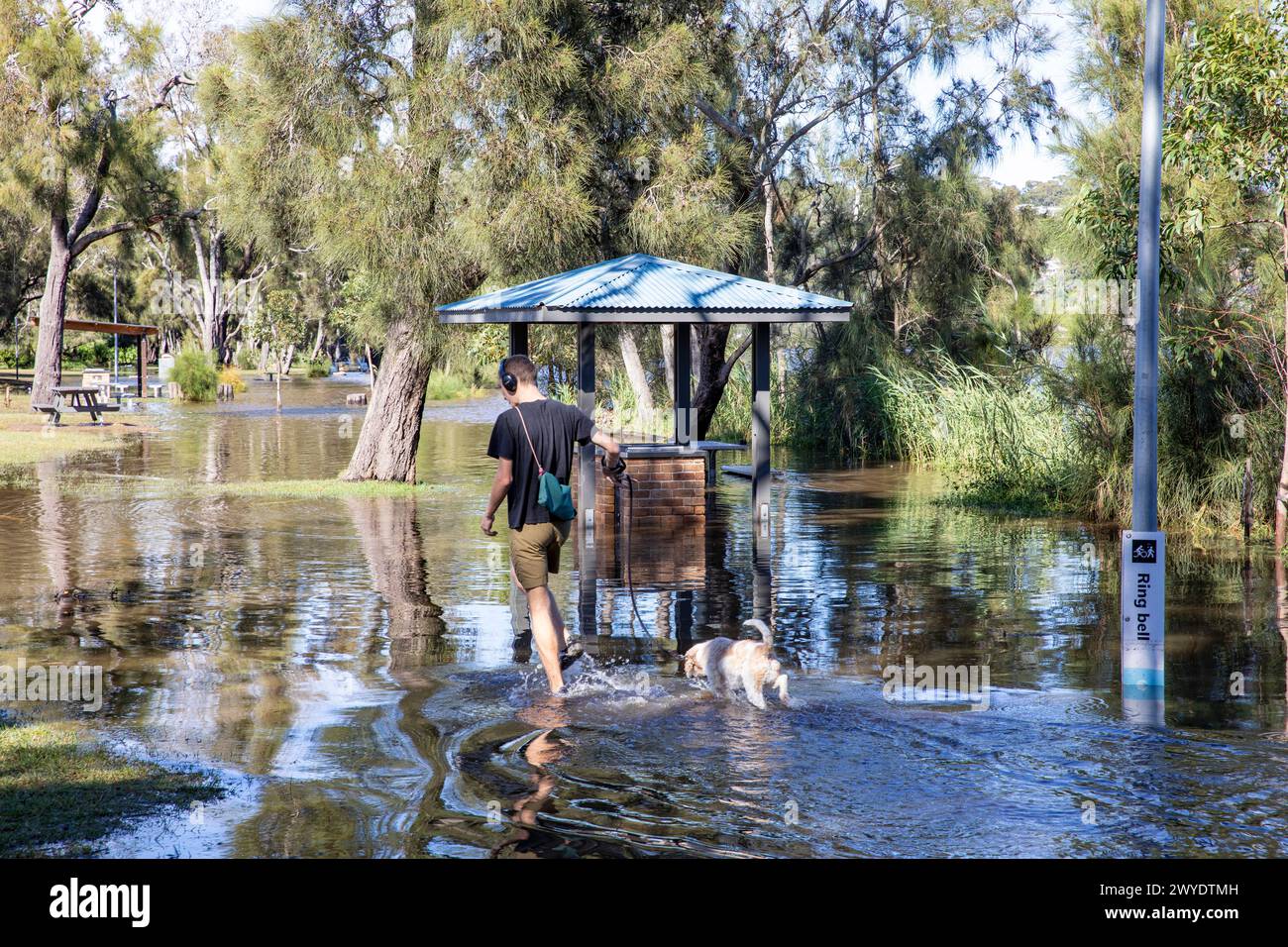 Samedi 6 avril 2024. Sydney a été frappée par un déluge de pluie au cours des dernières 48 heures, avec certaines zones, y compris Penrith recevant les précipitations les plus abondantes jamais enregistrées, à Narrabeen les résidents autour du lagon de Narabeen, sur la photo, ont été invités à évacuer en raison de la montée des niveaux d'eau du lac Narrabeen sur les plages du nord de Sydney. où plus de 150 mm de pluie sont tombés. Il y a eu plus de 50 observateurs d'inondations le long des rivières en Nouvelle-Galles du Sud et le barrage de Warragamba devrait se déverser. Créditez Martin Berry @alamy Live news. Banque D'Images