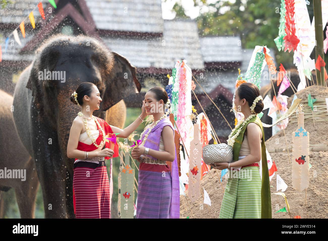 Festival Songkran. Les gens du nord de la Thaïlande en vêtements traditionnels s'habillant éclaboussant de l'eau ensemble dans le festival culturel de jour de Songkran avec dos d'éléphant Banque D'Images