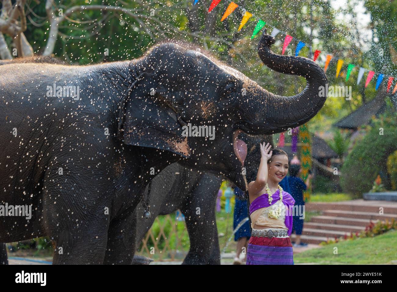 Festival Songkran. Le peuple thaïlandais du Nord dans des vêtements traditionnels s'habillant éclaboussant de l'eau ensemble dans le festival culturel de jour de Songkran avec éléphant. Banque D'Images