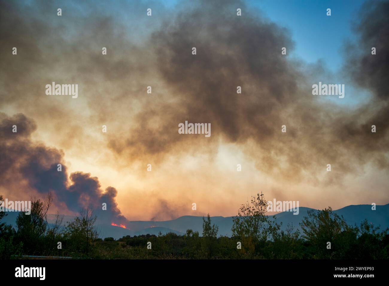 Incendies de forêt dans la préfecture d'Evros dans le nord de la Grèce lors du plus grand incendie jamais survenu en Europe le 23 août 2023 Banque D'Images