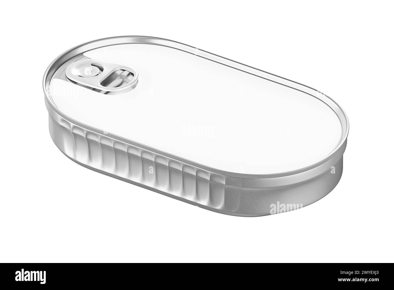 Boîte en étain argenté pour la nouvelle conception avec texte, rendu 3D, modèle, vue de poisson en conserve dans un récipient ovale gros plan isolé sur fond blanc Banque D'Images
