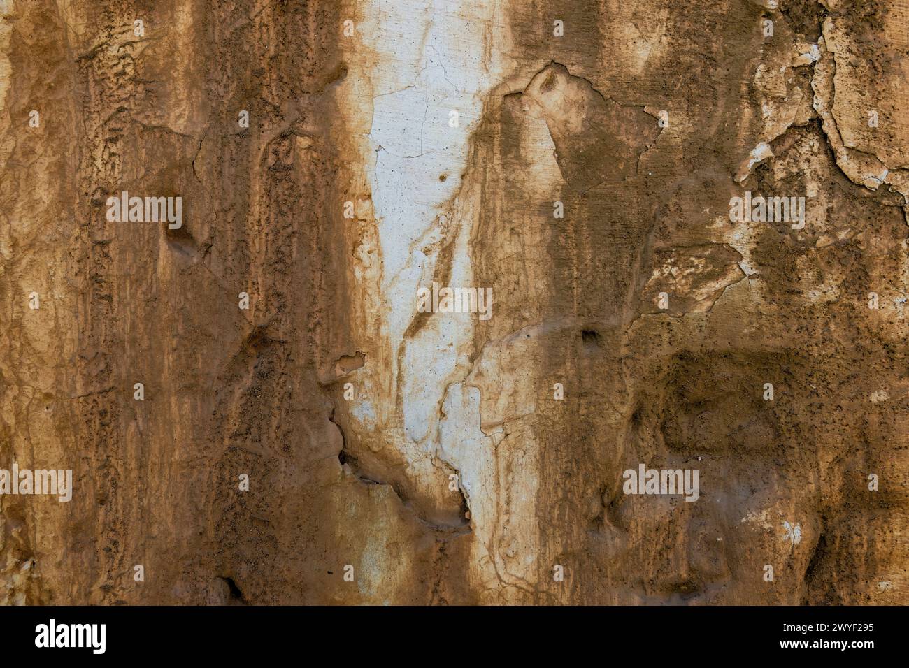 La texture d'un vieux mur d'adobe altéré, dans la ville coloniale de Villa de Leyva, dans le centre de la Colombie. Banque D'Images