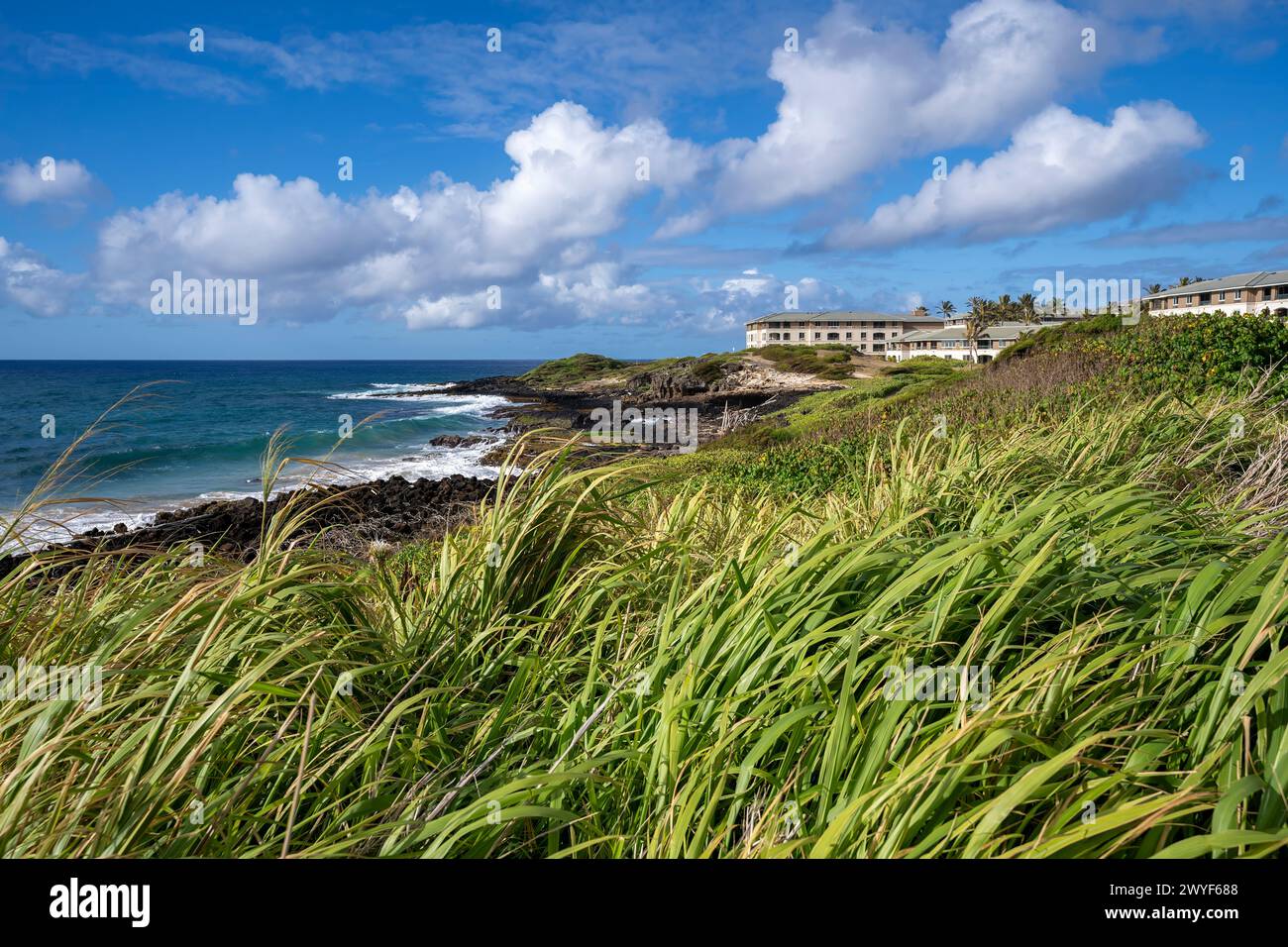 Soleil chaud et brises fraîches de l'océan Pacifique le long de Shipwreck Beach et du sentier patrimonial Maha'ulepu à Koloa, Hawaï, États-Unis Banque D'Images