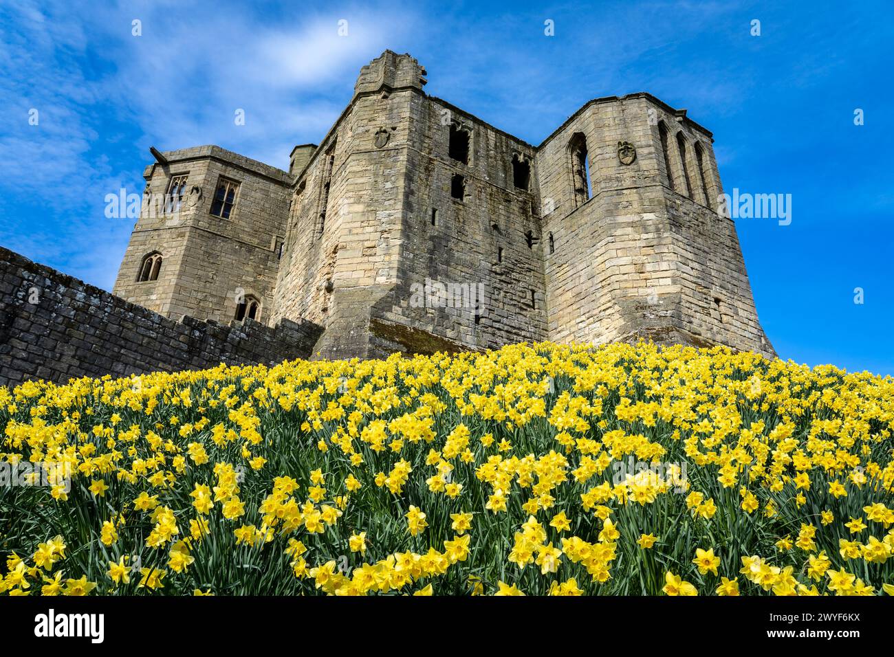 Château de Warkworth, Northumberland, Angleterre Banque D'Images