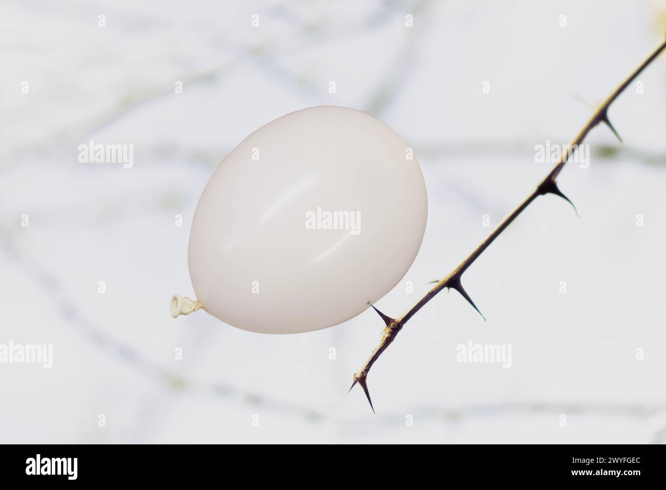 ballon blanc volant repose sur une épine végétale en danger d'éclatement, concept abstrait Banque D'Images