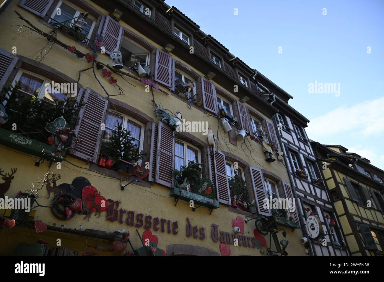 Décorations festives de Noël sur la façade de la « Brasserie des Tanneurs », un restaurant de cuisine alsacienne au cœur de Colmar, Alsace France Banque D'Images