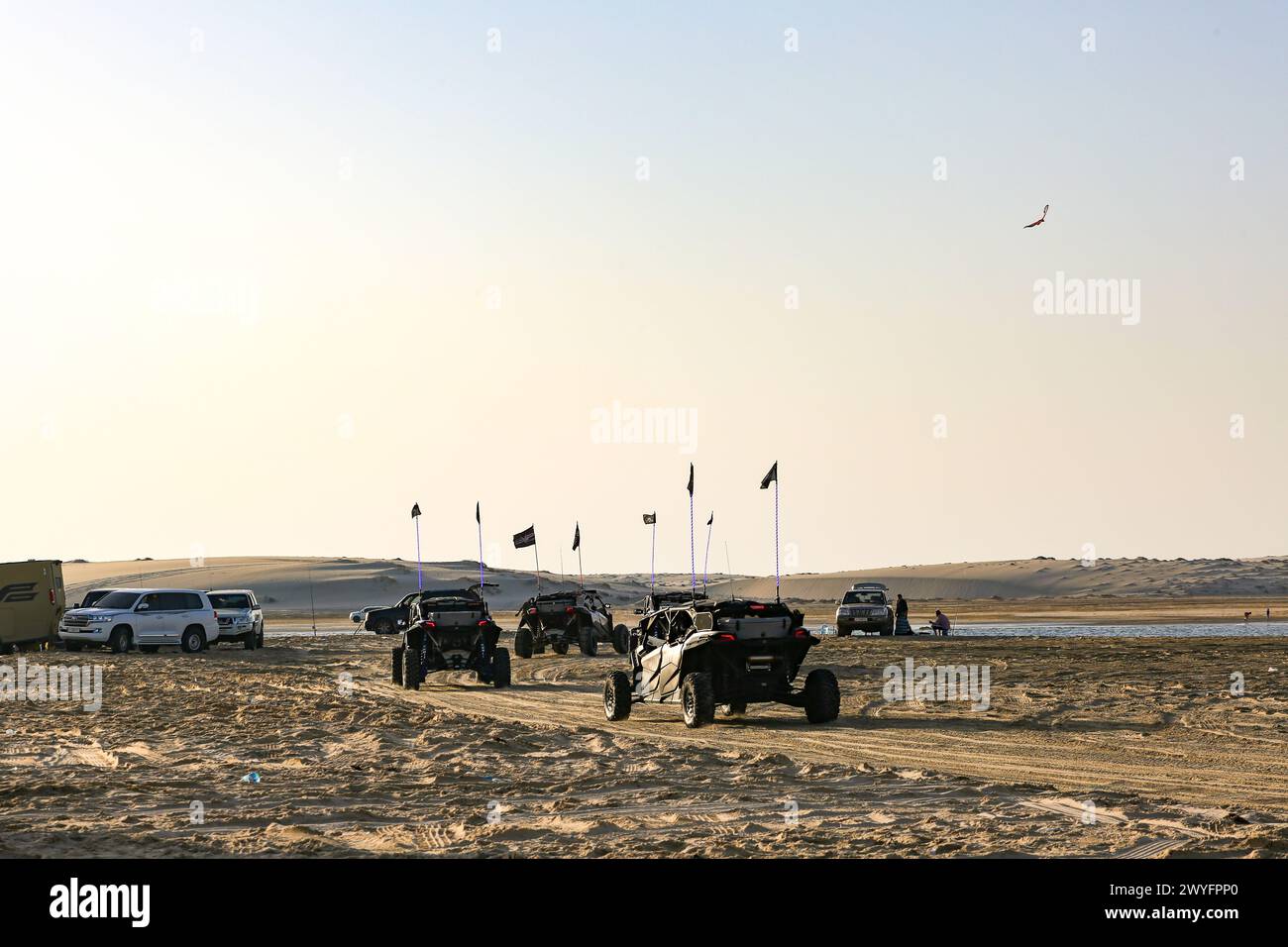 Safari en véhicule hors route dans le désert parmi les dunes de sable dans le désert du Qatar. Banque D'Images Safari en véhicule hors route dans le désert parmi les dunes de sable dans le désert du Qatar. Banque D'Images