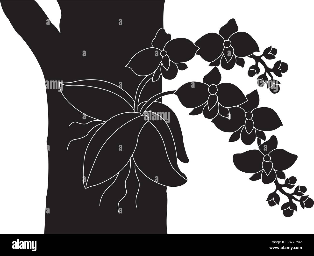 Conception de symbole d'illustration vectorielle d'icône de fleur d'orchidée Illustration de Vecteur
