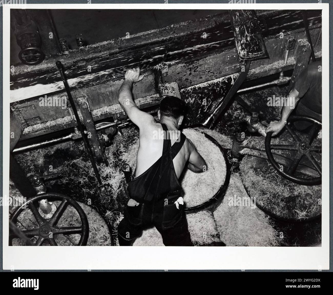 Chargement de la chambre de diffusion avec de la pulpe de betterave sucrière dans l'usine de Brighton, Colorado 1937 Banque D'Images