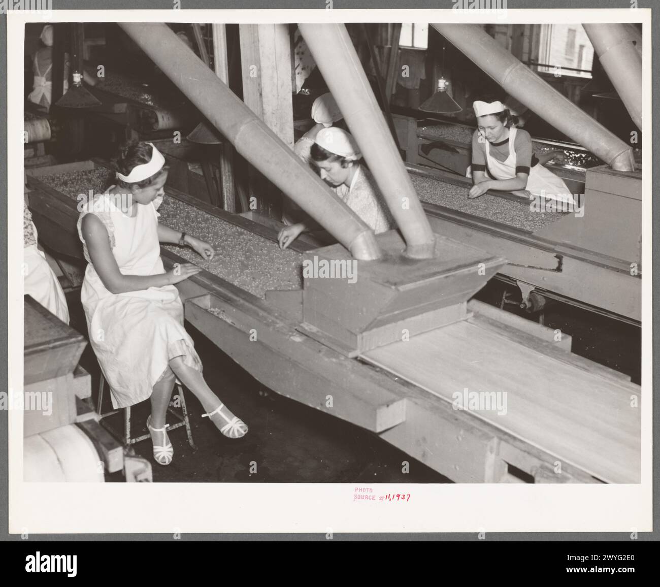 Filles vérifiant la qualité des pois à l'usine de conserverie, Sun Prairie, Wisconsin 1937 Banque D'Images