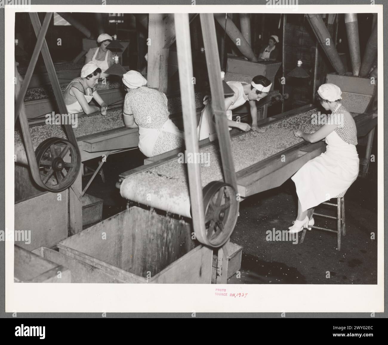 Filles enlevant les corps étrangers et les petits pois inférieurs. Usine de mise en conserve de pois, Sun Prairie, Wisconsin 1937 Banque D'Images