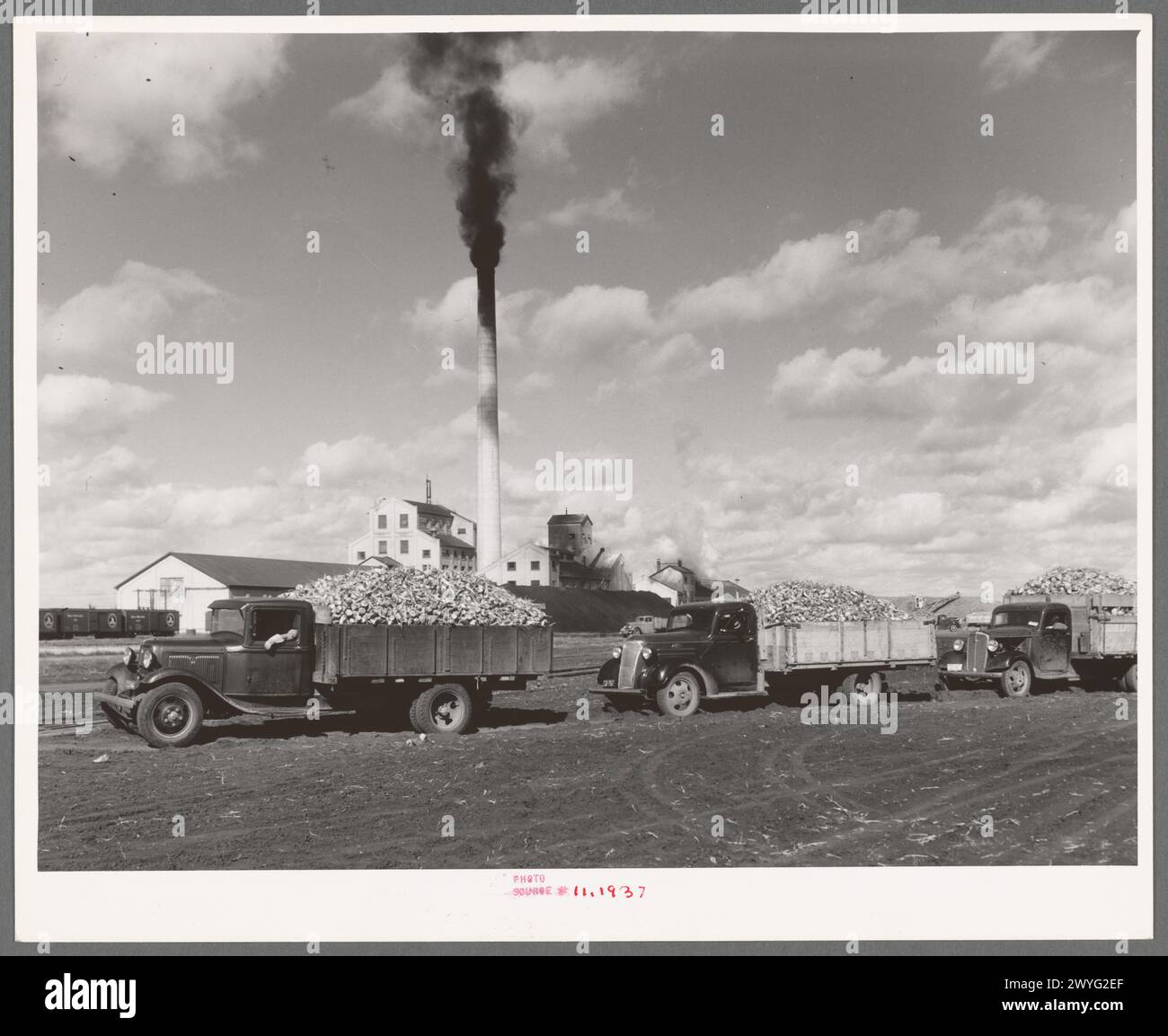 Camions chargés de betteraves à sucre, usine en arrière-plan, East Grand Forks, Minnesota 1937 Banque D'Images