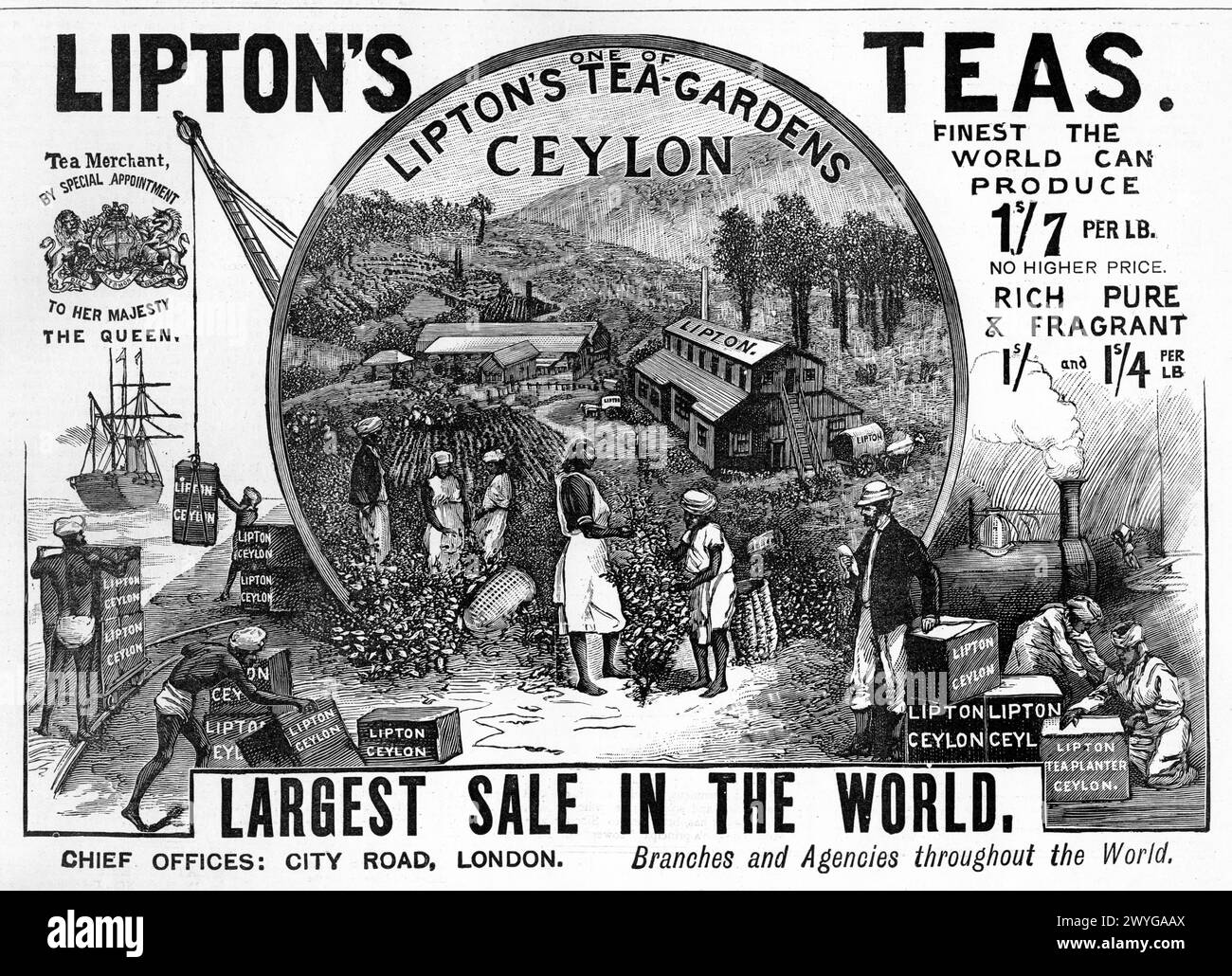 Publicité pour Lipton's Tea, vers 1896 Banque D'Images