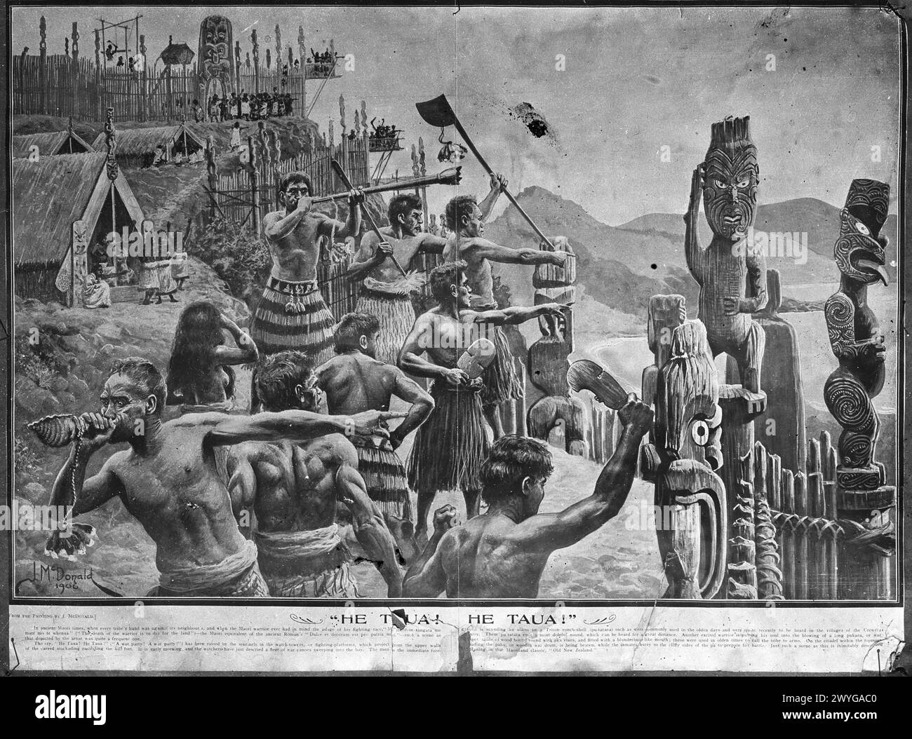 Reproduction d'une peinture de James J. McDonald en 1906 représentant des guerriers maoris se préparant à une attaque contre leur père. Un guerrier au premier plan souffle un avertissement sur une conque tandis que d'autres se rassemblent sur les palissades. Banque D'Images