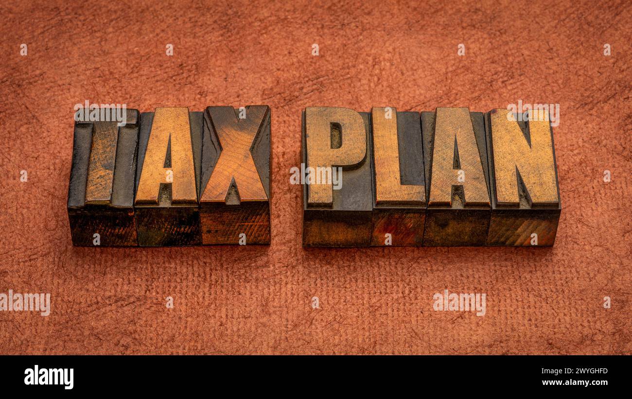 plan fiscal, concept financier, mots en bois typographique vintage, optimisation des affaires et des impôts Banque D'Images