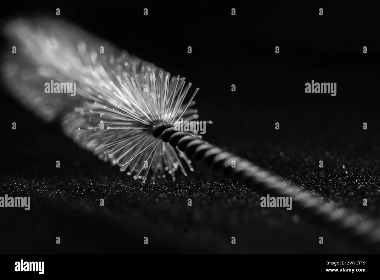 une photo en noir et blanc d'un pinceau tubulaire avec une plume sur un fond sombre. Photographie de natures mortes. Banque D'Images