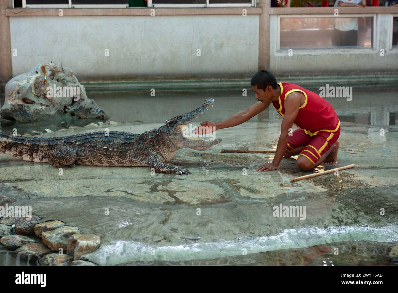 Samut Prakan, Thaïlande. 06 avril 2024. L'interprète met sa main dans la bouche du crocodile. Pendant le spectacle pour les touristes à la ferme de crocodiles et zoo de Samutprakan le 6 avril 2024. Dans la province de Samut Prakan. 35 km de Bangkok. Après avoir été temporairement fermé pendant 3 ans en raison de la situation épidémique de COVID-19. (Photo de Teera Noisakran/Pacific Press) crédit : Pacific Press Media production Corp./Alamy Live News Banque D'Images