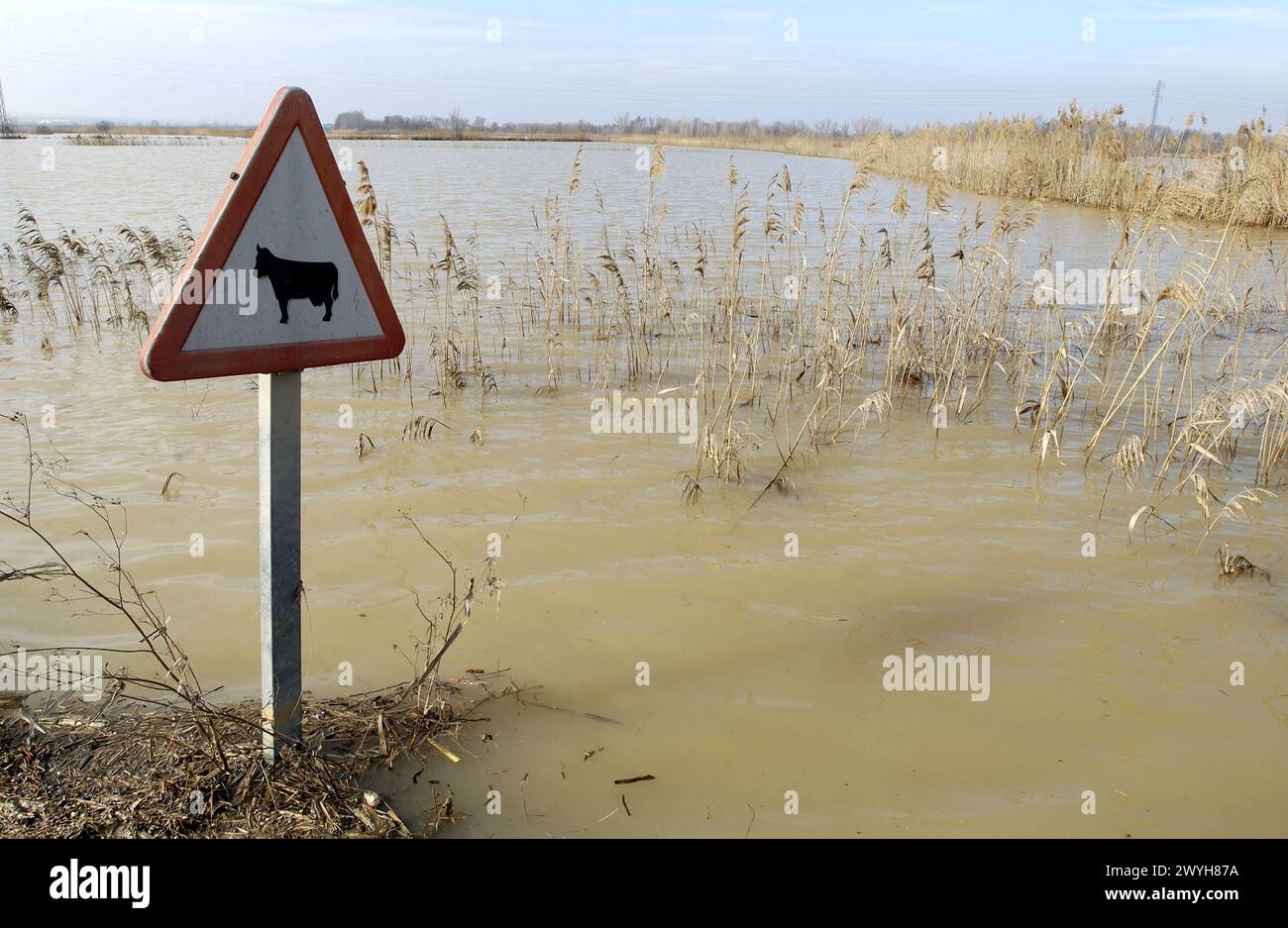 Inondations de l'Èbre. Fév 2003. Pina de Ebro, province de Saragosse. Espagne. Banque D'Images