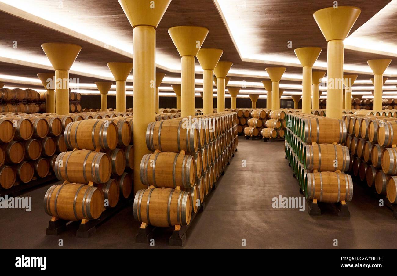 Cave à vin, Dinastia Vivanco Winery, Briones, la Rioja, Espagne, Europe. Banque D'Images