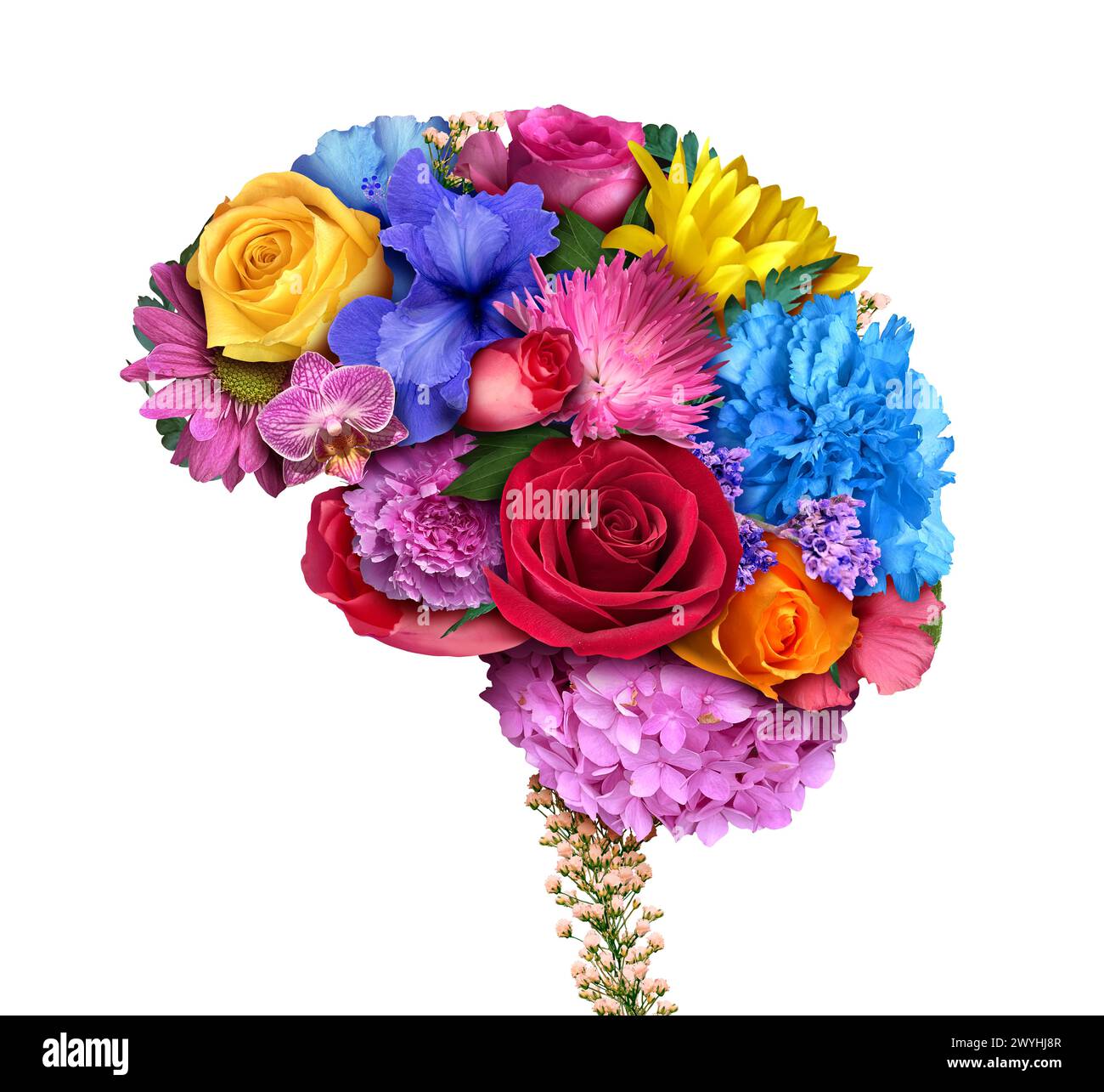 Parfum et humeur comme le système olfactorydétectant les odeurs connectées au système limbique résultant en un effet émotionnel basé sur l'odeur associée. Banque D'Images