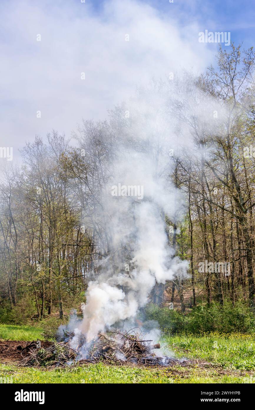 Un grand feu de bois de broussailles menace également de mettre le feu à la forêt voisine Banque D'Images