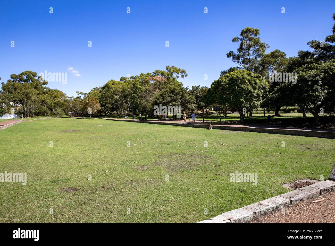 Sydney, Australie, mort Bay Park sur la péninsule de Balmain est un parc au bord de l'eau dans la banlieue de Birchgrove à Sydney, Nouvelle-Galles du Sud, Australie Banque D'Images