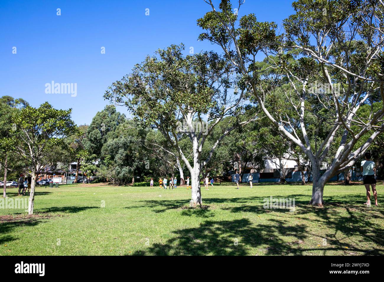 Sydney, Australie, mort Bay Park sur la péninsule de Balmain est un parc au bord de l'eau dans la banlieue de Birchgrove à Sydney, Nouvelle-Galles du Sud, Australie Banque D'Images