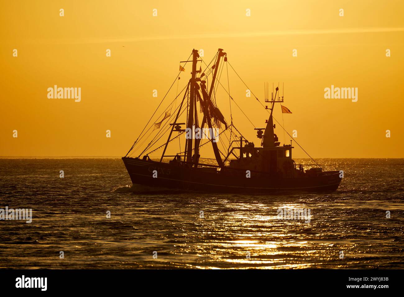 Crevettier dans l'embouchure de l'Elbe au lever du soleil près de Cuxhaven tôt le matin. Banque D'Images