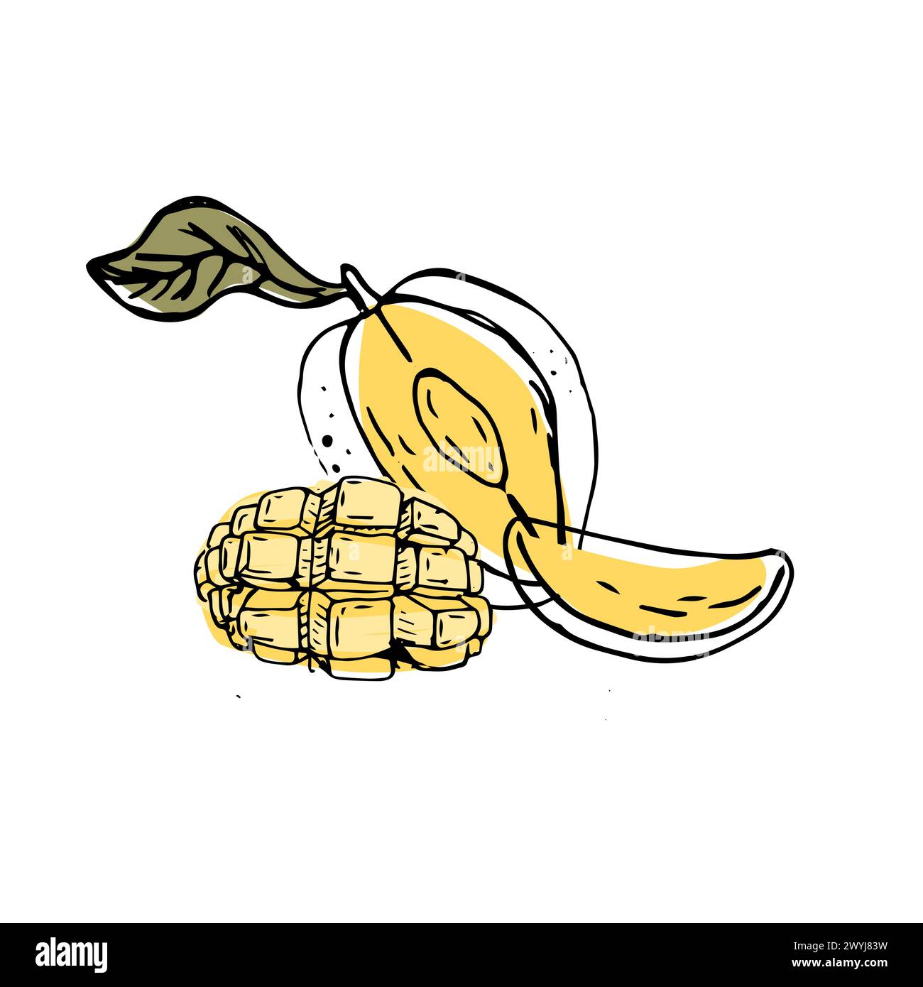 Fruit de mangue dessiné à la main dans l'illustration d'art de croquis. Illustration vectorielle de fruits tropicaux pour la santé - mangue. Peinture à l'encre art dans le style vintage. Illustration de Vecteur Fruit de mangue dessiné à la main dans l'illustration d'art de croquis. Illustration vectorielle de fruits tropicaux pour la santé - mangue. Peinture à l'encre art dans le style vintage. Illustration de Vecteur