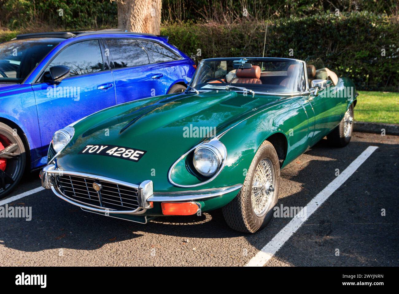 Jaguar E-type. Super voiture dimanche. Shackletons Garden Centre. Banque D'Images