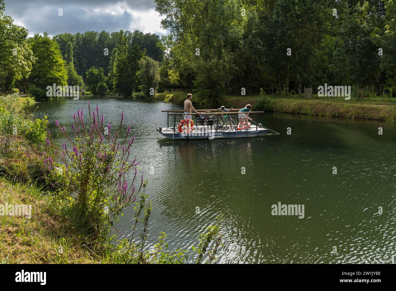 France, deux-Sèvres, le Marais poitevin, Venise verte, Magné, parcours à vélo, passage de la rivière Sèvre Niortaise sur une des chaînes de bateaux en libre accès Banque D'Images