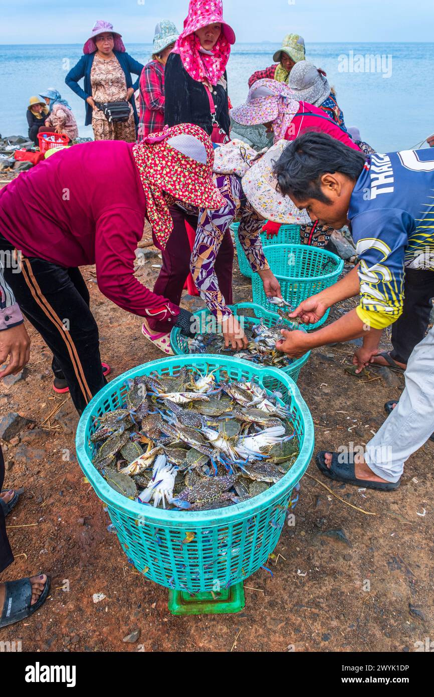 Cambodge, province de Kep, station balnéaire de Kep, le marché du crabe Banque D'Images