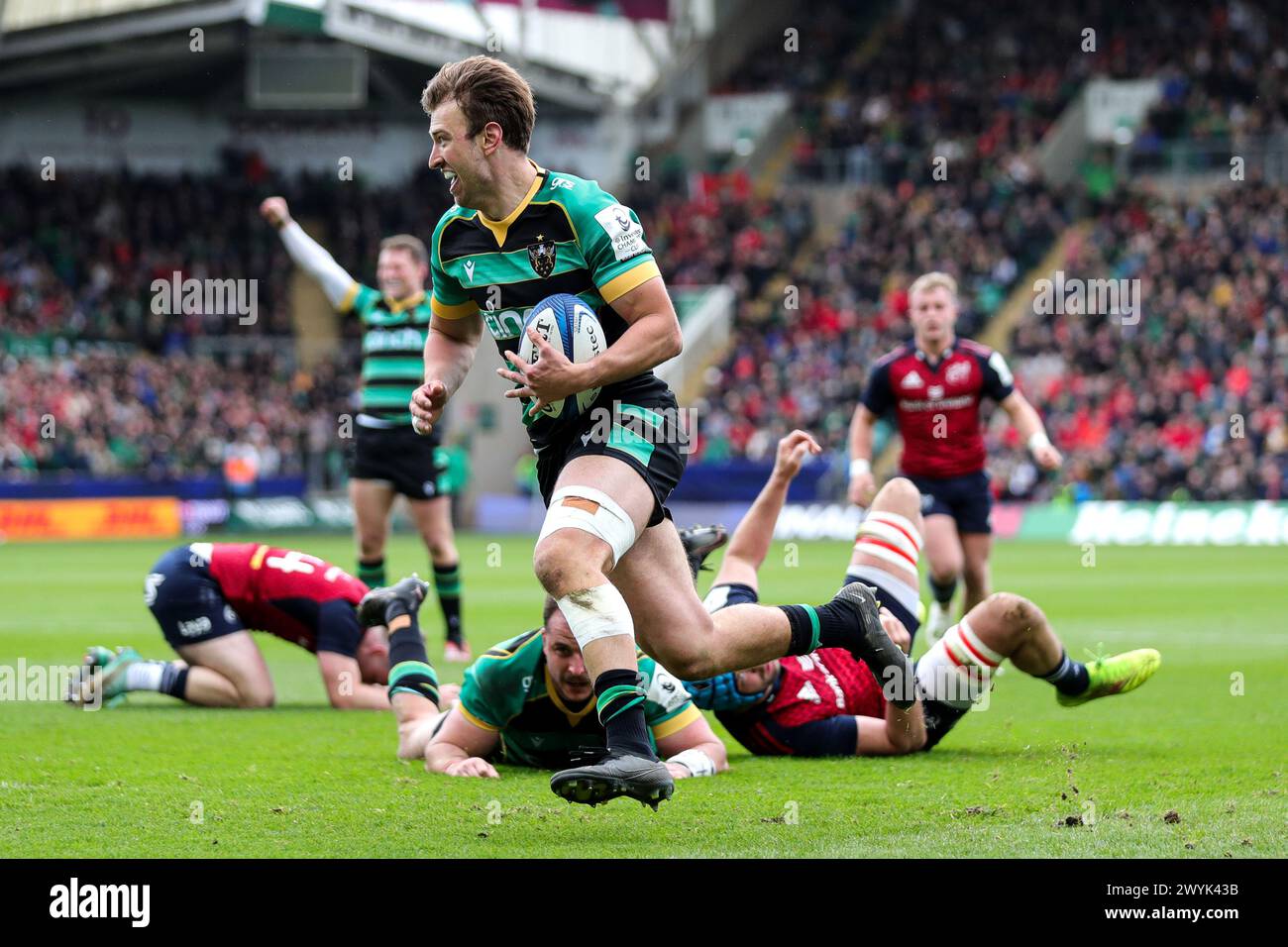 Northampton, Angleterre, 7 avril 2024. James Ramm de Northampton court dans leur première tentative lors du match de la Coupe des Champions Investec entre Northampton et Munster au Cinch Stadium de Franklin's Gardens. Crédit : Ben Whitley/Alamy Live News Banque D'Images