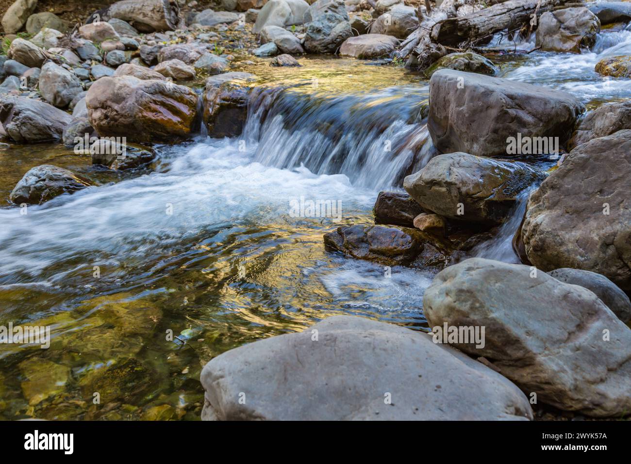 L'eau coule sur les rochers dans le Big Cottonwood Creek à Big Cottonwood Canyon près de Salt Lake City, Utah Banque D'Images