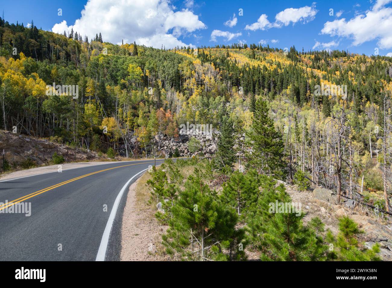 Les arbres commencent à changer de couleur au début de l'automne le long de Bear Lake Road près d'Estes Park, Colorado Banque D'Images