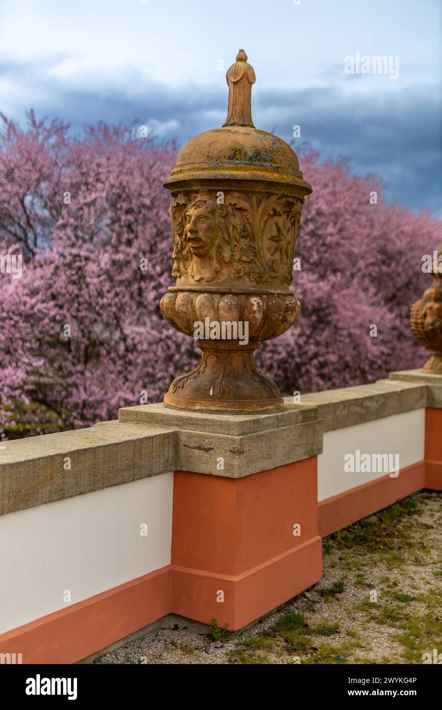 Urne baroque surplombant les cerisiers en fleurs du château de Troja Banque D'Images