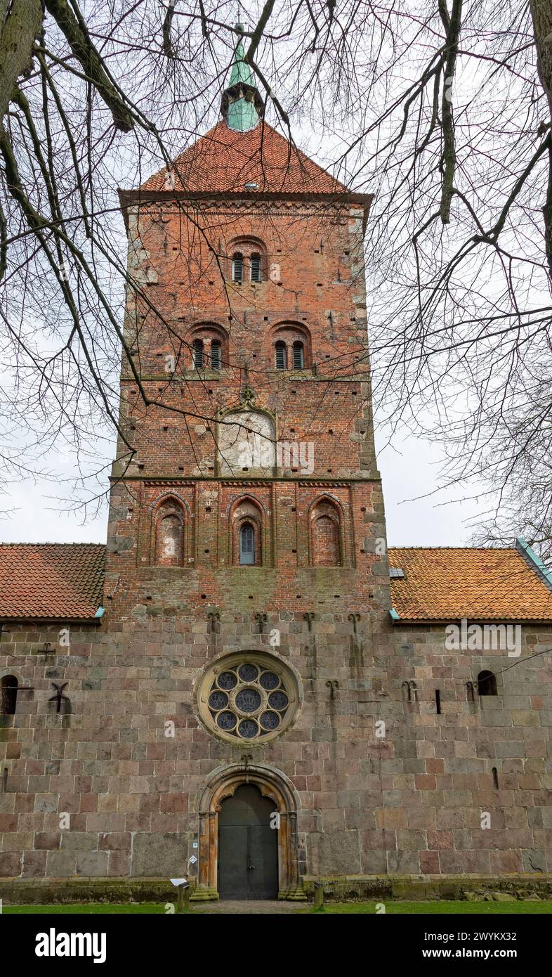 Église Saint-Alexandre, Wildeshausen, basse-Saxe, Allemagne Banque D'Images
