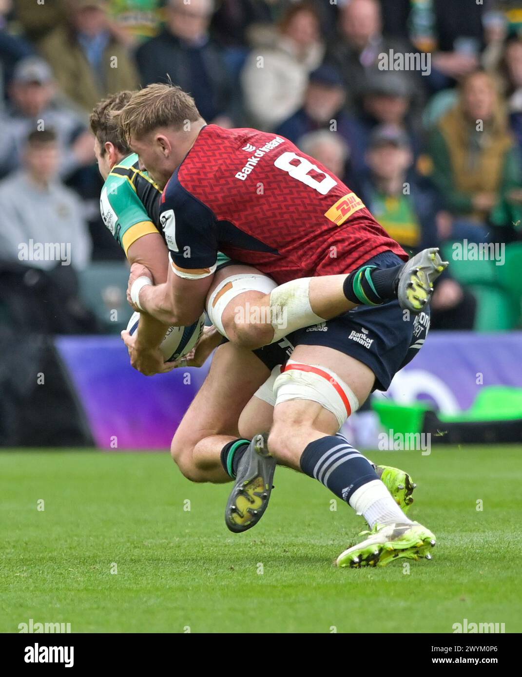 Northampton ANGLETERRE - avril 7-2024 : James Ramm de Northampton Saints est attaqué par Gavin Coombes de Munster Rugby lors de la Coupe des Champions Investec entre les Northampton Saints et Munster Rugby au Cinch Stadium Franklin’s Gardens. Northampton Banque D'Images