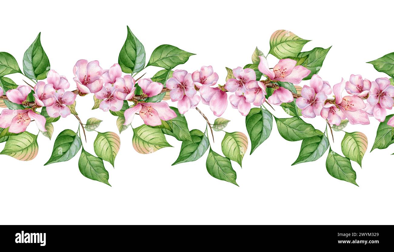 Planche sans couture aquarelle avec des fleurs roses de pêcher isolé sur blanc. Bannière florale avec branche de fleur dessinée à la main. Élément pour invitat de mariage Banque D'Images