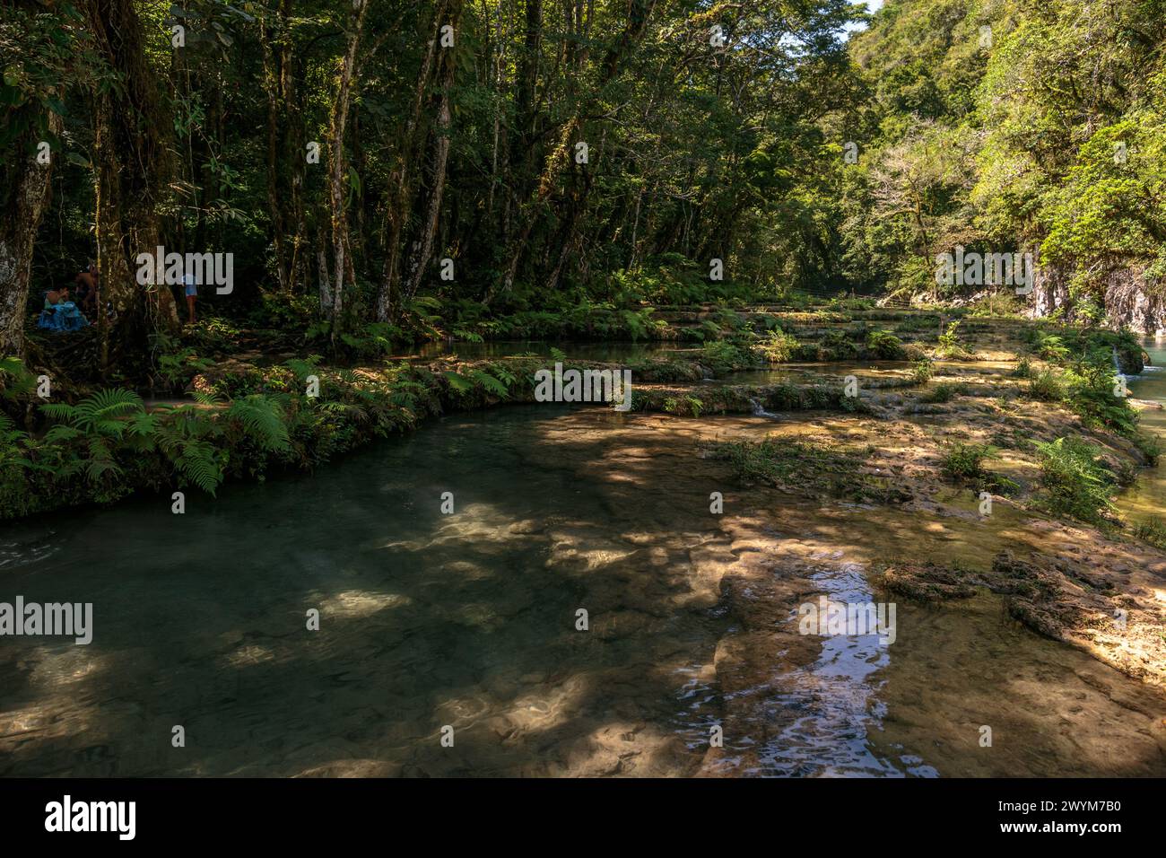 Les piscines turquoises dans les formations karstiques naturelles font un trou de baignade parfait à Semuc Champey près de Lanquin au Guatemala. Banque D'Images