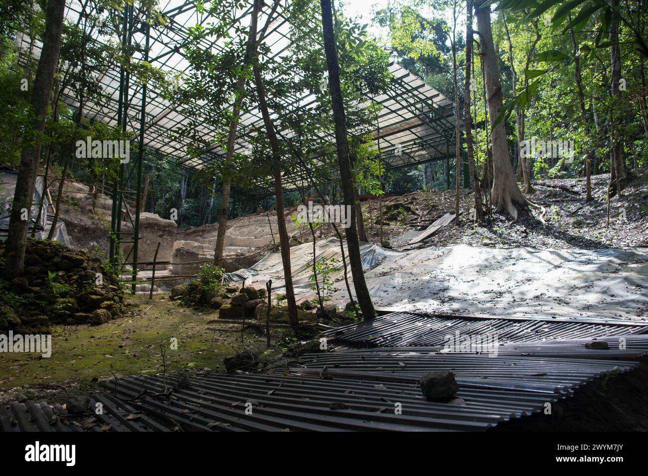 Dans le bassin El Mirador dans la jungle du nord du Guatemala Banque D'Images