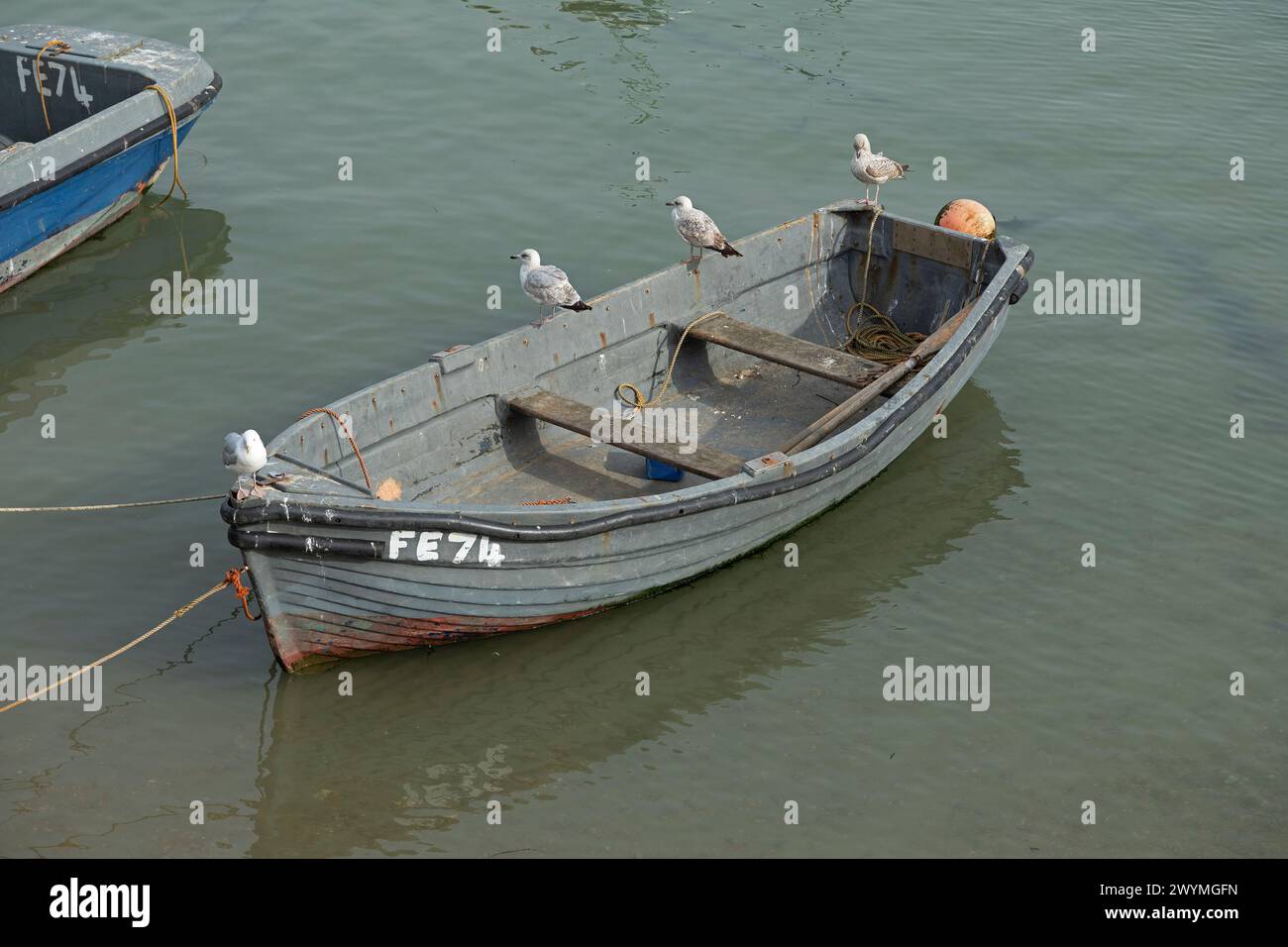 Mouettes assis sur un bateau, port de bateau, Folkestone, Kent, Angleterre, grande-Bretagne Banque D'Images