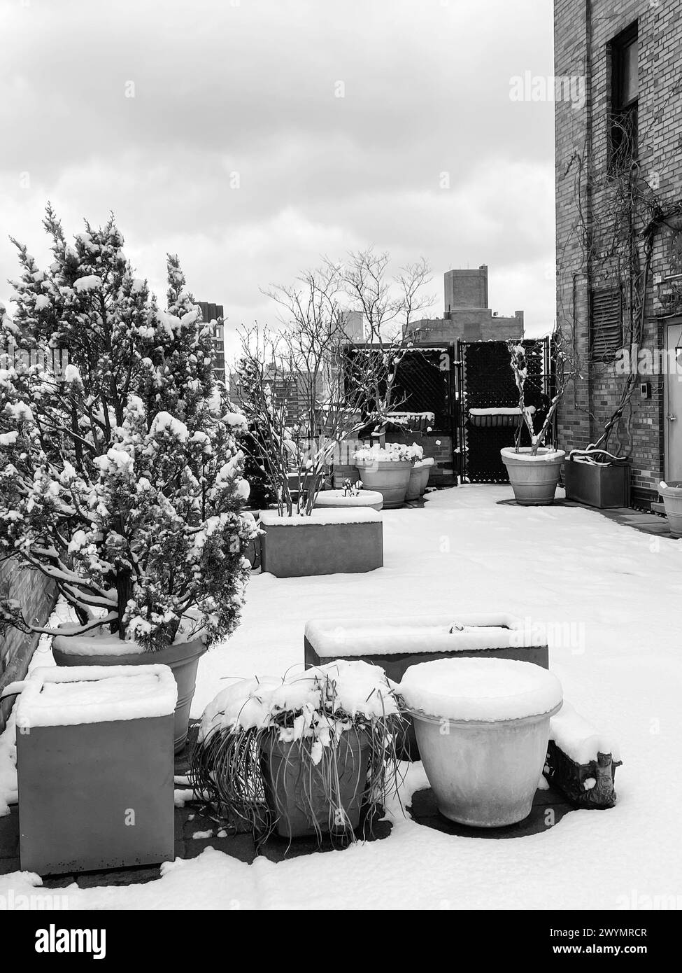 Terrasse sur le toit de la coopérative résidentielle, tempête de neige, Murray Hill, Midtown, NYC, 2024 Banque D'Images
