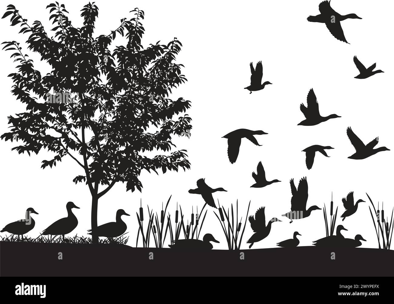 Silhouettes de canards volant et flottant sur l'eau Illustration de Vecteur